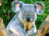 Captcha image 4189