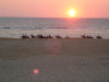 Captcha image 1331