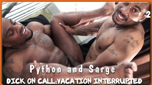 Dick On Call: Vacation Interrupted Part 2